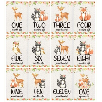 12 Листов Карточек с вехами в месячном возрасте от рождения до 12 месяцев, карточки для фотосессий