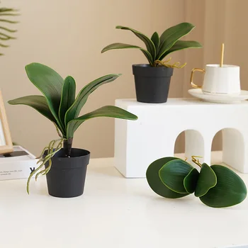 Настоящие листья орхидеи, искусственные растения, имитация листьев фаленопсиса, Домашний декор для гостиной, Свадебные Рождественские украшения